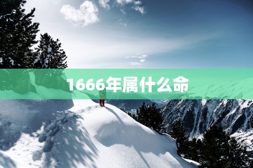 1666年属什么命