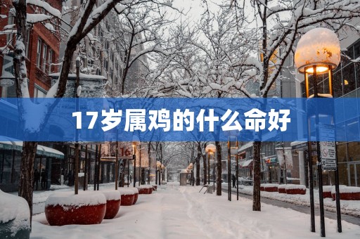 17岁属鸡的什么命好
