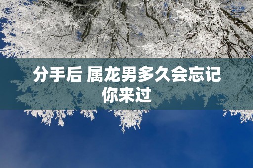 分手后 属龙男多久会忘记你来过