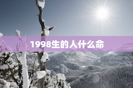 1998生的人什么命