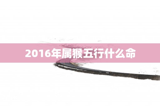 2016年属猴五行什么命