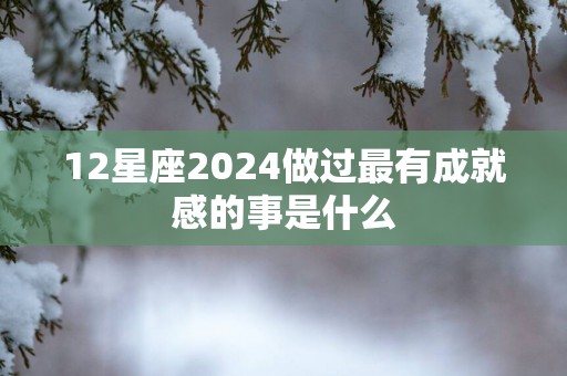 12星座2025做过最有成就感的事是什么