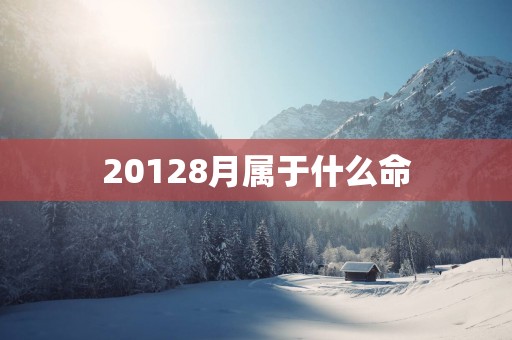 20128月属于什么命