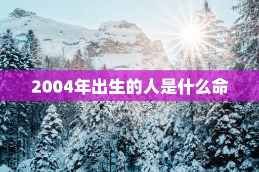 2004年出生的人是什么命