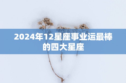 2025年12星座事业运最棒的四大星座