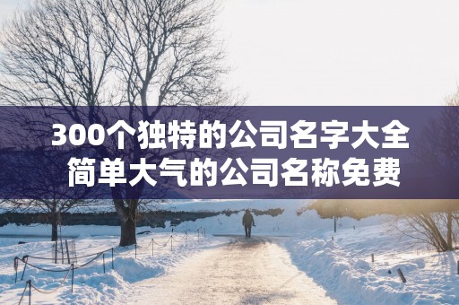 300个独特的公司名字大全 简单大气的公司名称免费