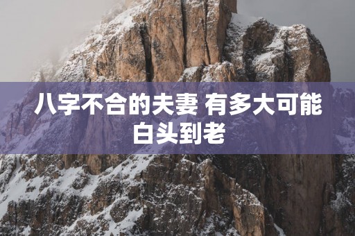八字不合的夫妻 有多大可能白头到老