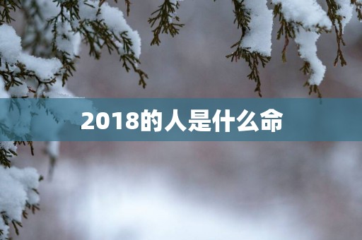 2018的人是什么命