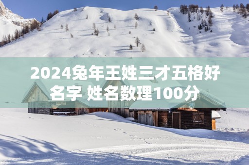 2025蛇年王姓三才五格好名字 姓名数理100分