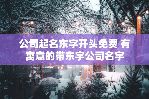 公司起名东字开头免费 有寓意的带东字公司名字