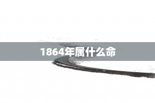 1864年属什么命