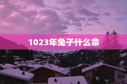 1023年兔子什么命
