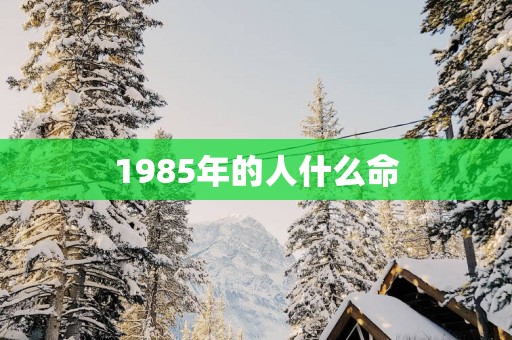 1985年的人什么命