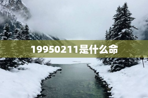 19950211是什么命