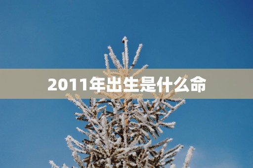 2011年出生是什么命