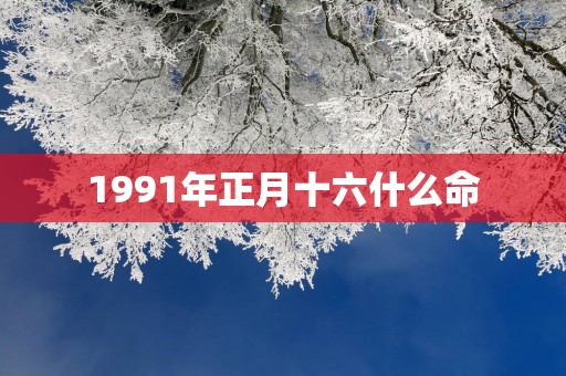 1991年正月十六什么命