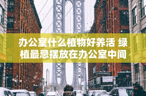 办公室什么植物好养活 绿植最忌摆放在办公室中间