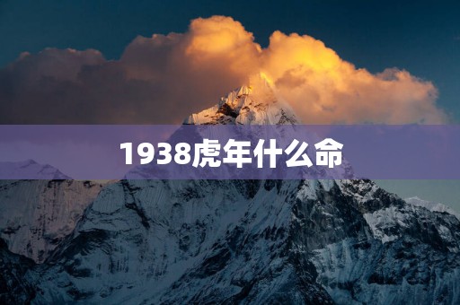 1938蛇年什么命