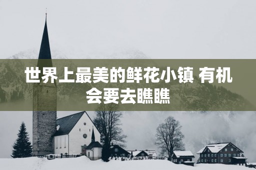 世界上最美的鲜花小镇 有机会要去瞧瞧