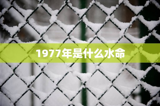 1977年是什么水命