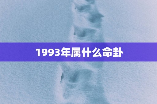 1993年属什么命卦