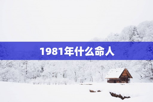 1981年什么命人