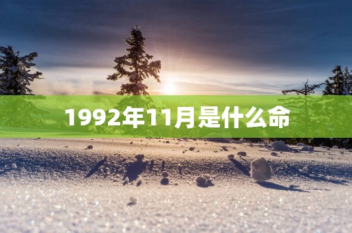 1992年11月是什么命