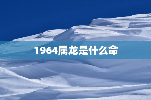 1964属龙是什么命