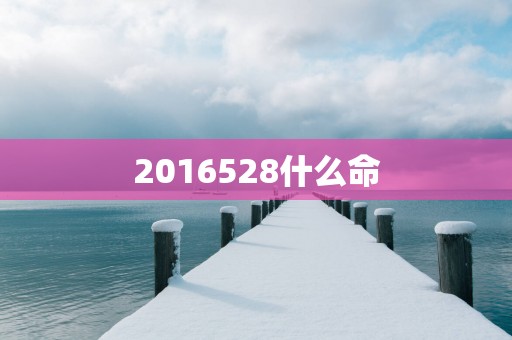 2016528什么命