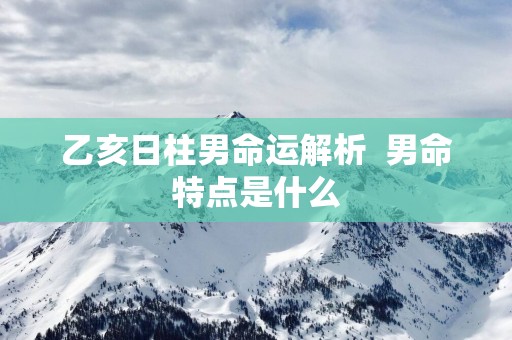 乙亥日柱男命运解析  男命特点是什么