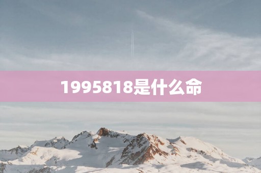 1995818是什么命