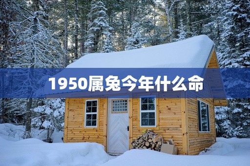 1950属兔今年什么命
