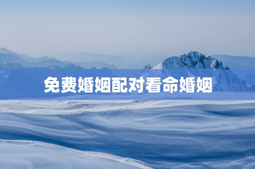 免费婚姻配对看命婚姻