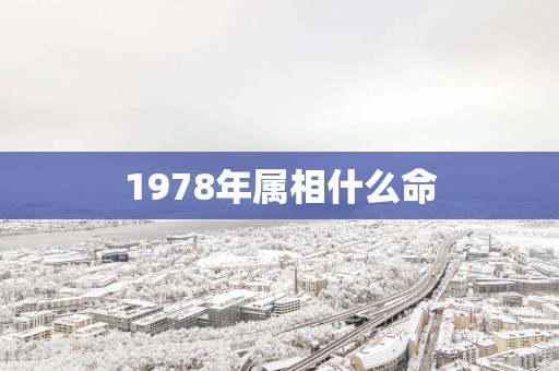 1978年属相什么命
