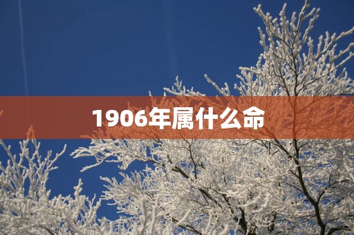 1906年属什么命