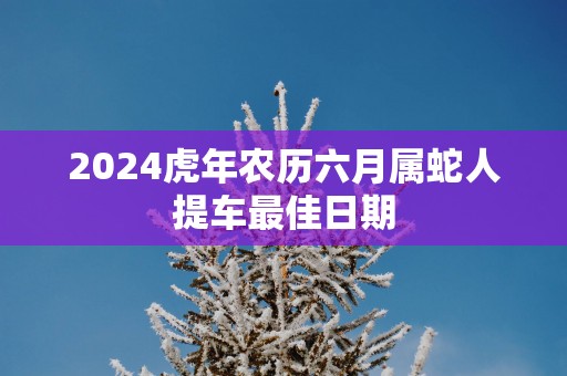 2025蛇年农历六月属蛇人提车最佳日期