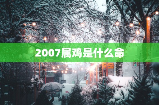 2007属鸡是什么命