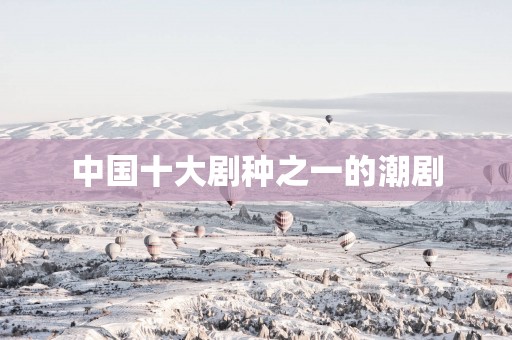 中国十大剧种之一的潮剧