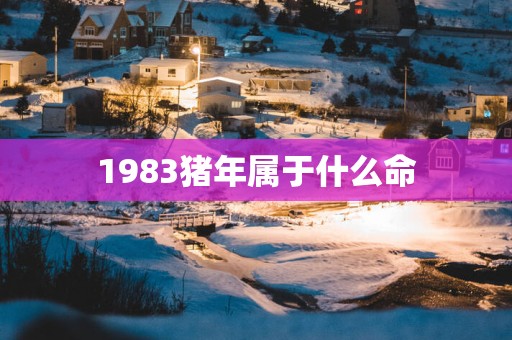 1983猪年属于什么命