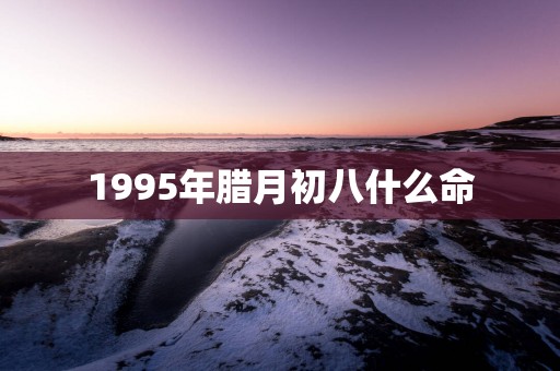 1995年腊月初八什么命