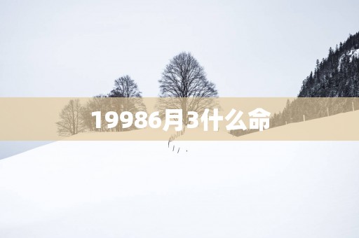 19986月3什么命
