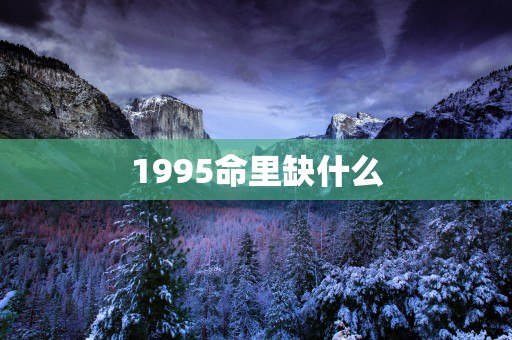 1995命里缺什么