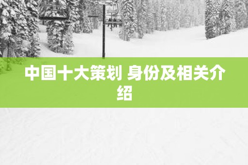 中国十大策划 身份及相关介绍