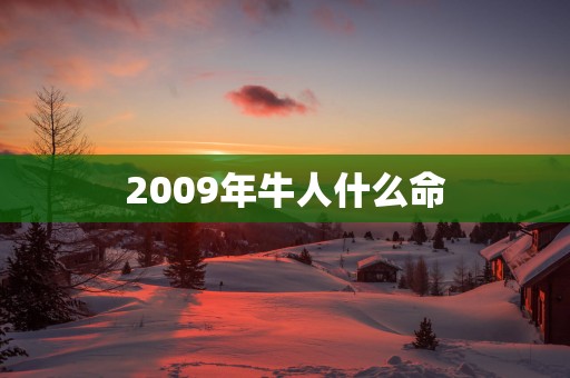 2009年牛人什么命