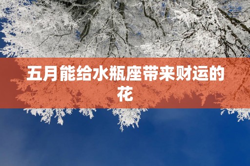 五月能给水瓶座带来财运的花
