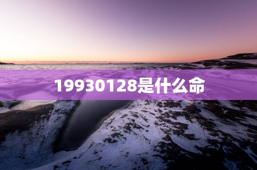 19930128是什么命