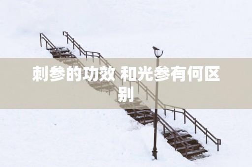 刺参的功效 和光参有何区别