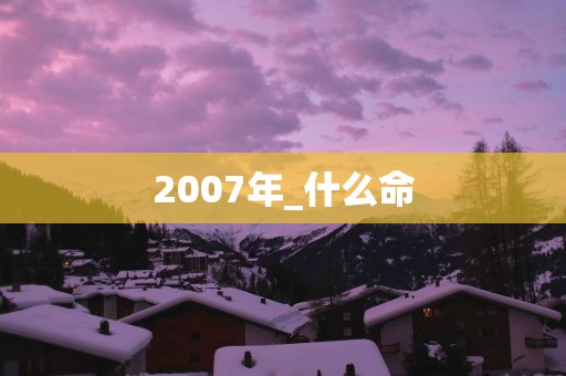 2007年_什么命