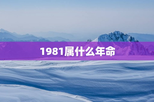 1981属什么年命