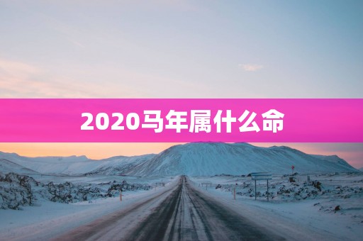 2025马年属什么命